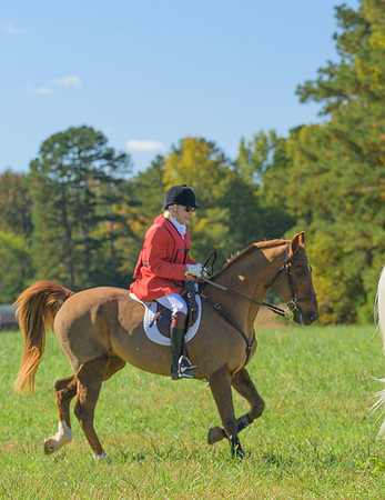 Belle Meade_20251101_449293