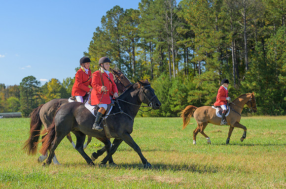 Belle Meade_20251101_449295