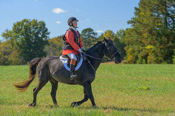 Belle Meade_20251101_449298
