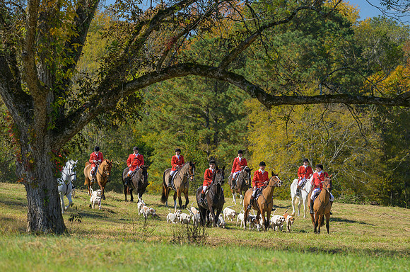 Belle Meade_20251101_449300