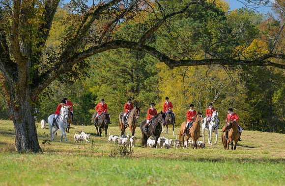 Belle Meade_20251101_449301