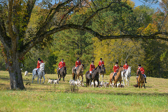 Belle Meade_20251101_449302