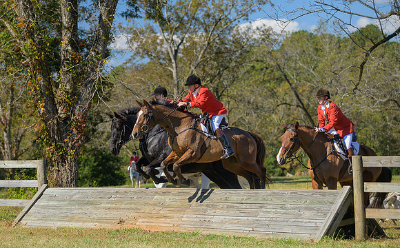 Belle Meade_20251101_449307