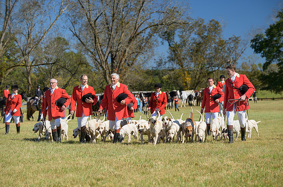 Belle Meade_20251101_449334