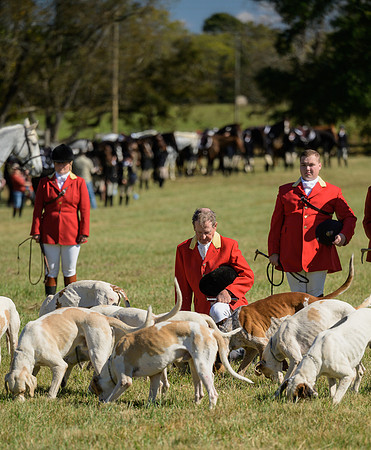 Belle Meade_20251101_449339