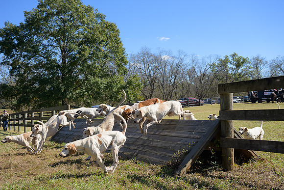 Belle Meade_20251101_449390