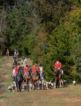 Belle Meade_20251101_449439