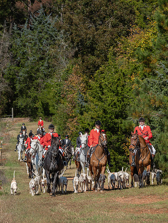 Belle Meade_20251101_449441