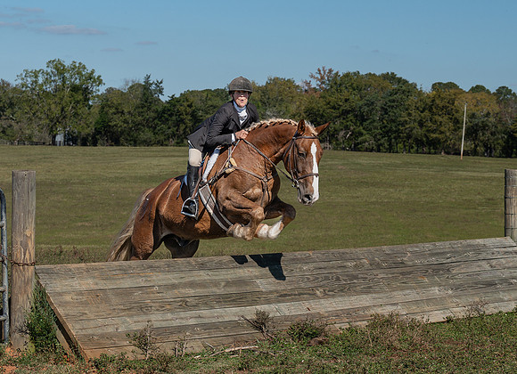 Belle Meade_20251101_449465