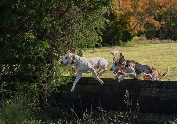 Belle Meade_20251101_449467
