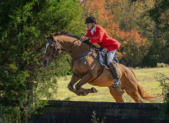 Belle Meade_20251101_449475