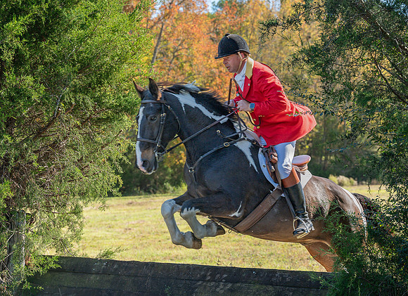 Belle Meade_20251101_449476