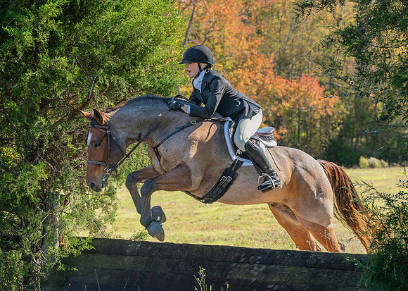 Belle Meade_20251101_449479