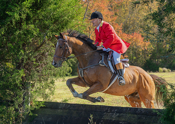 Belle Meade_20251101_449481
