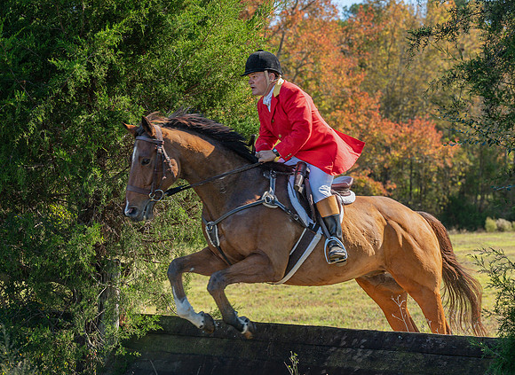 Belle Meade_20251101_449482
