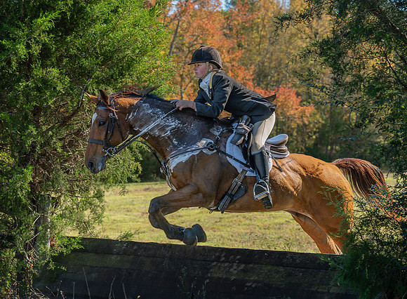 Belle Meade_20251101_449489