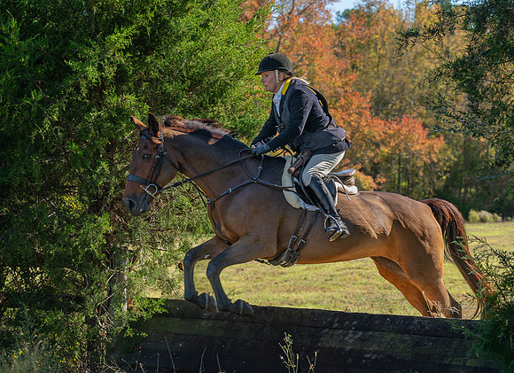 Belle Meade_20251101_449491