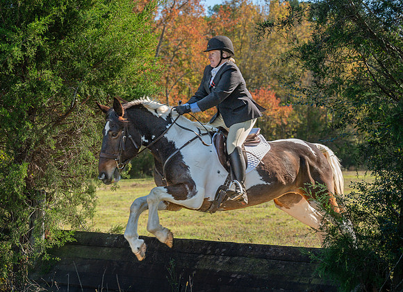 Belle Meade_20251101_449496
