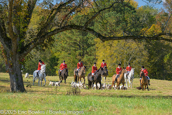 Belle Meade_20251101_449302