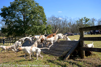 Belle Meade_20251101_449391
