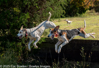 Belle Meade_20251101_449469