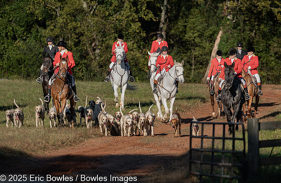Belle Meade_20251101_449864
