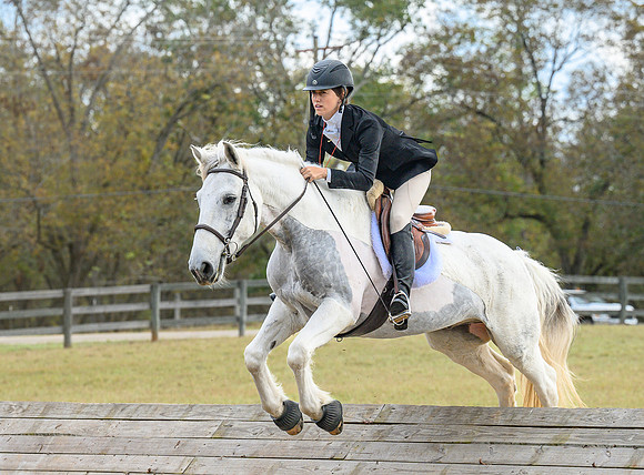 Belle Meade_20241102_421942