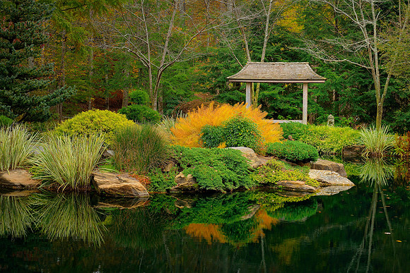 Gibbs Garden