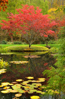 Gibbs Garden