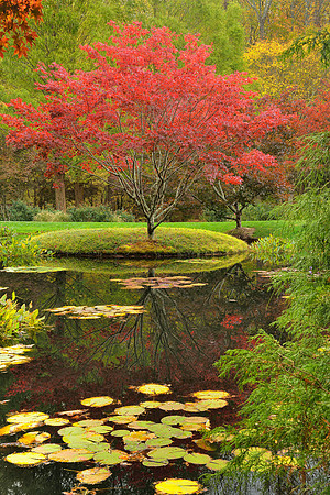 Gibbs Garden