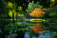 Gibbs Garden