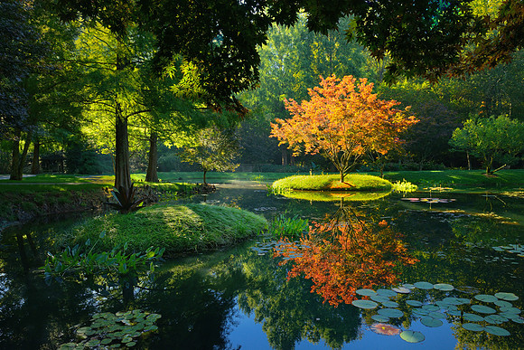 Gibbs Garden