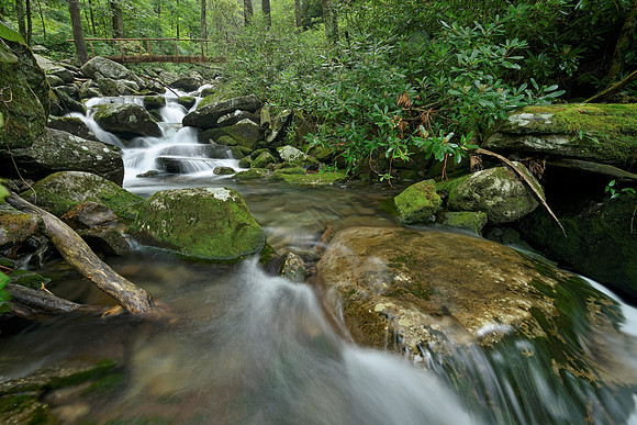 LeConte Creek Cascade