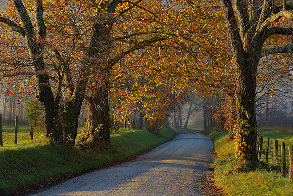 Smokies - Sparks Lane Sunrise