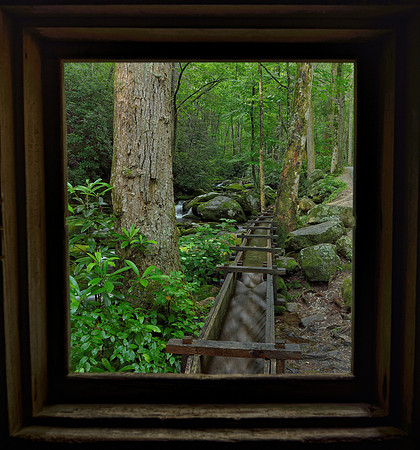 Smokies Stream