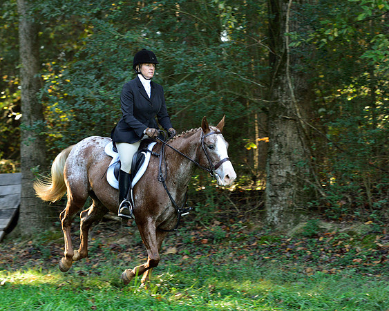 Shakerag Opening Hunt 2014