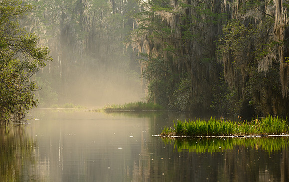 Okefenokee_4-7-2022_365616