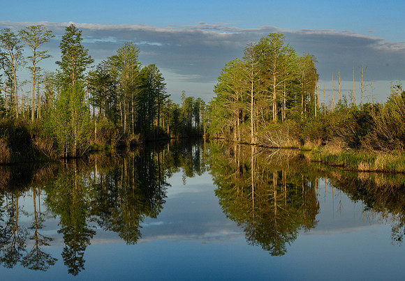 Okefenokee_4-12-2022_374514