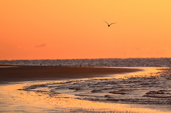 Jekyll Island_4-10-2022_369962