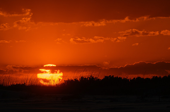 Jekyll Island_4-8-2022_369644