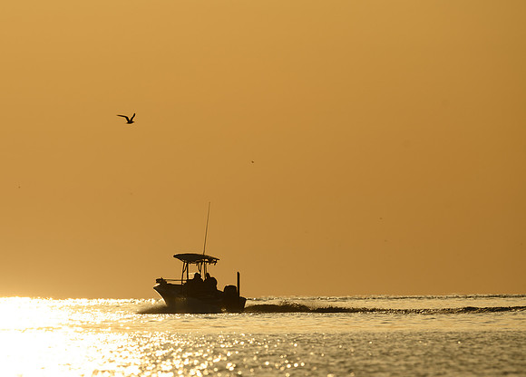 Jekyll Island_4-11-2022_373302