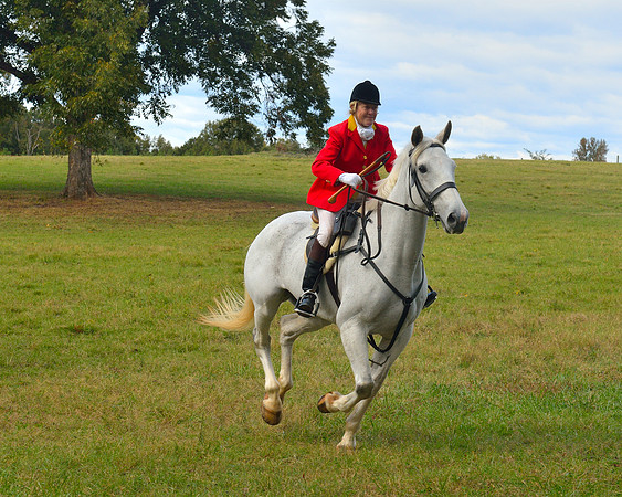 Belle Meade Opening Hunt 2014