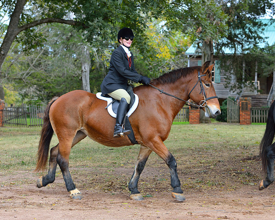 Belle Meade Opening Hunt 2014