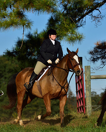 Shakerag Opening Hunt 2014