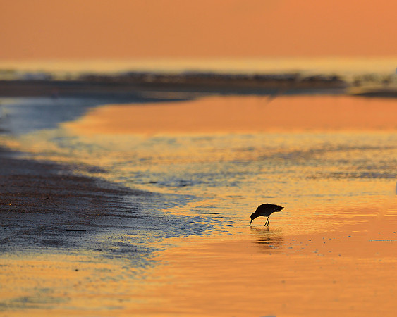 Jekyll Point Sunrise
