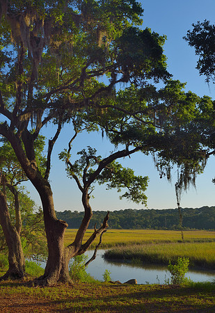 Jekyll Island - Clam Creek