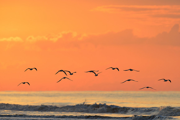 Jekyll Point Sunrise