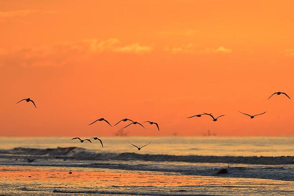 Jekyll Point Sunrise