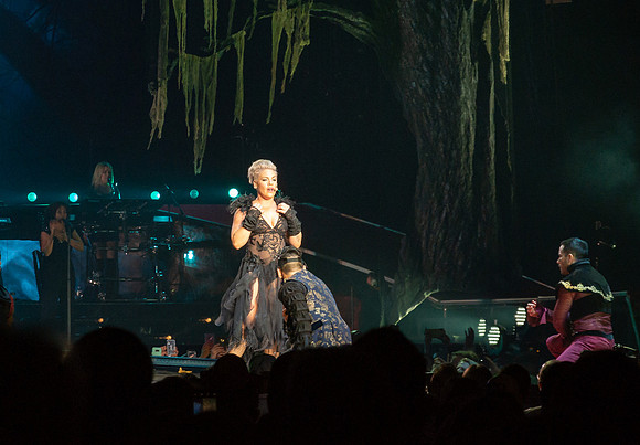 Pink Concert_3-12-2019_295788