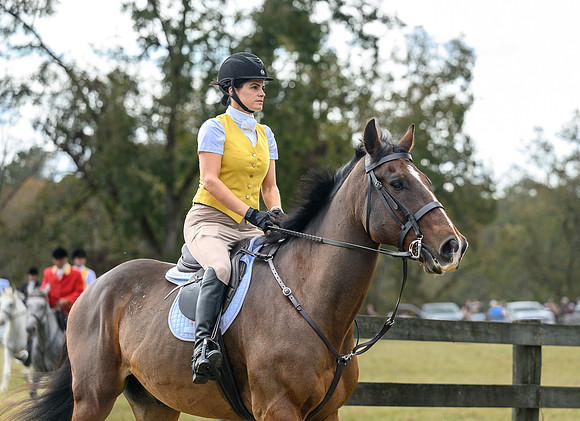 Belle Meade_20241102_422009